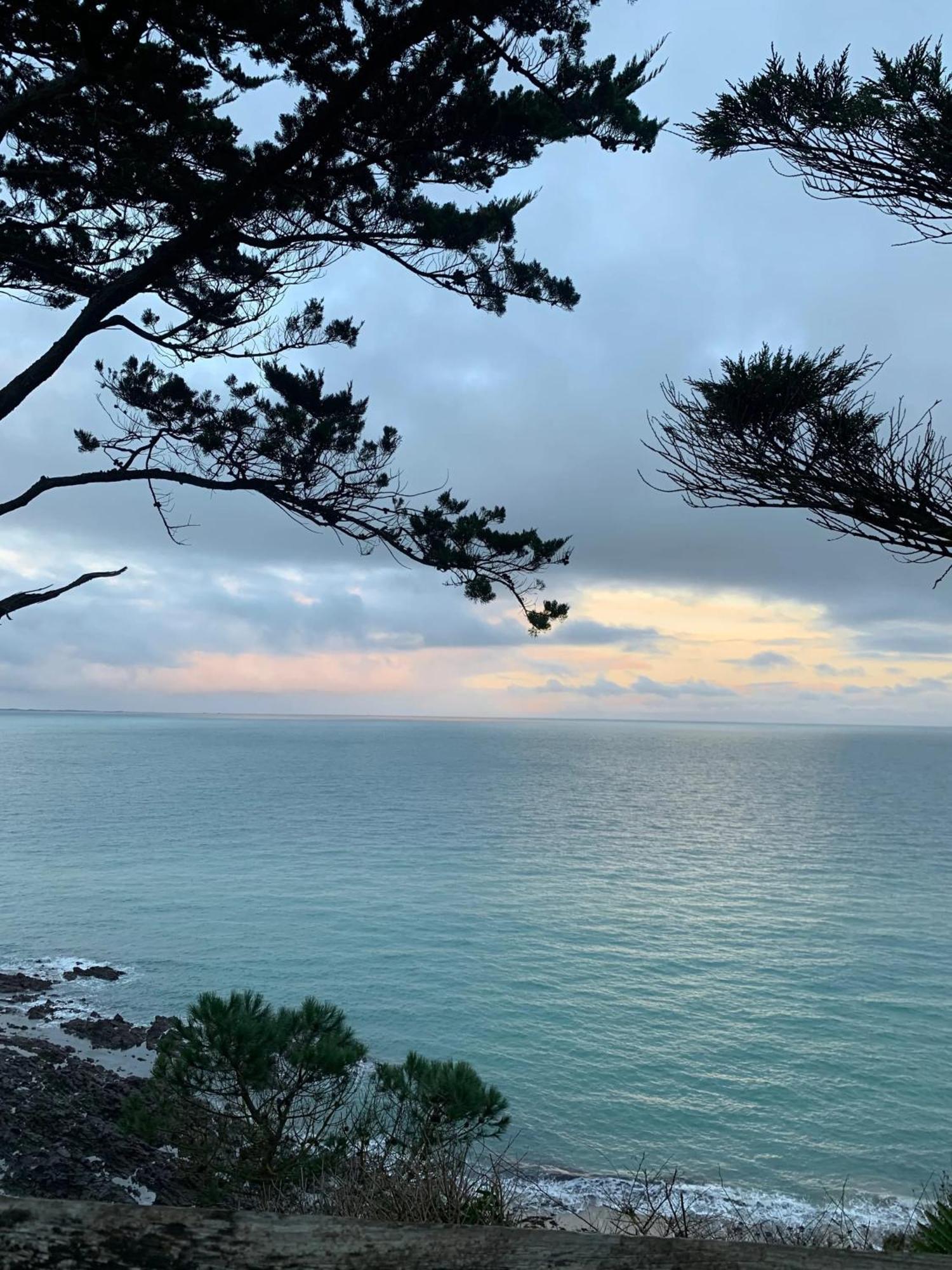 Appartement Moderne A Granville 55 M² Vue Sur Mer Eksteriør bilde
